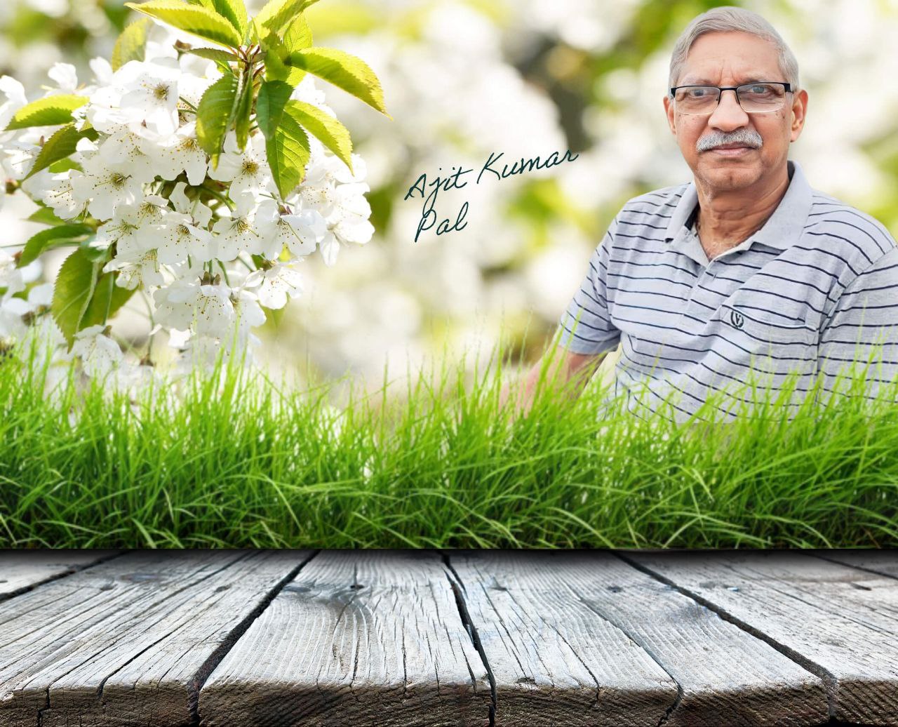 Ajit Kumar Pal Ajit Kumar Pal
